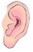 Oreja