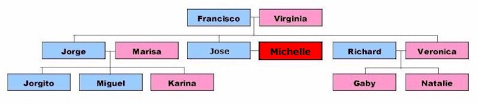 Arbol Genealógico 2