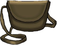 bolso