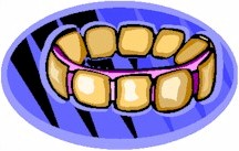 pulsera