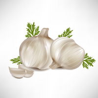 garlic