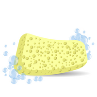 sponge