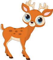 deer
