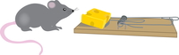 mousetrap