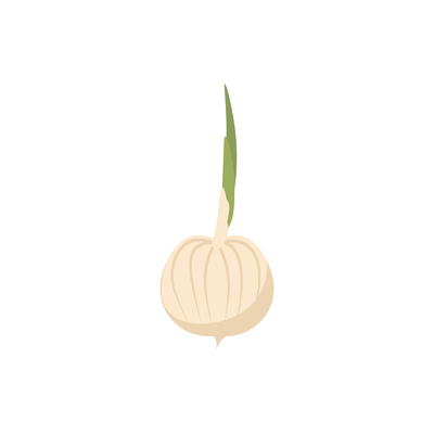 onion